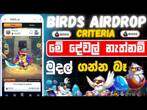 Birds telegram airdrop criteria | birds telegram airdrop 2024 | birds airdrop