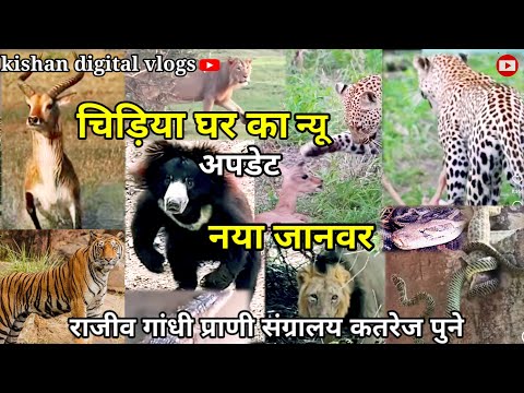 चिड़ियाघर में न्यू apdet नया Janwar आया राजीव गांधी प्राणी संग्रहालय कात्रज/zoo पार्क 2023