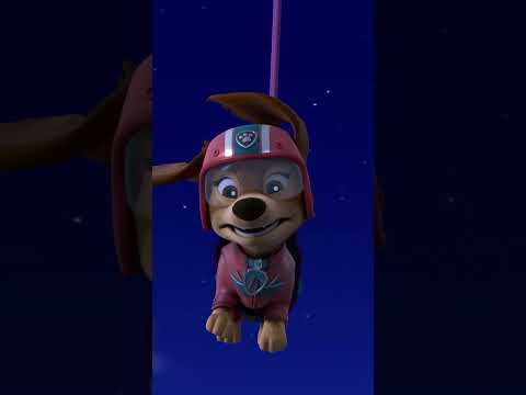 Skye and Liberty Team Up to rescue Francois! #pawpatrol #shorts