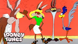 ワイリー・E・コヨーテが大騒ぎになる20分間 | Looney Tunes | @GenWBInternational