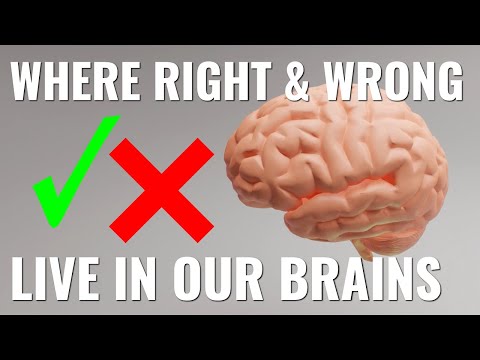 Where "right" and "wrong" live in our brains