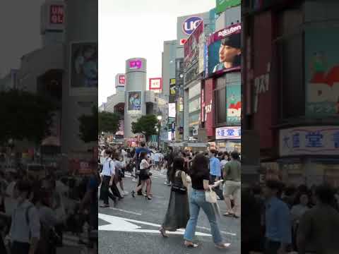 Shibuya cross 最繁忙的涉谷十字路口