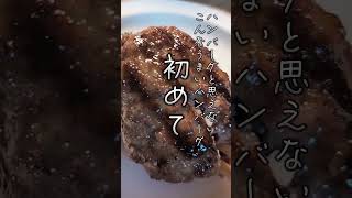 炭火ハンバーグたてはん 金沢ランチ うまうまハンバーグ 新店