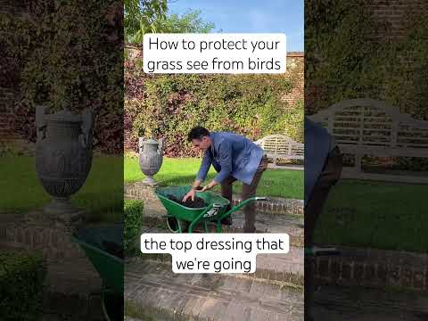 Head gardener from Sissinghurst has a trick to protect your grass seed #lawn #grass #gardener