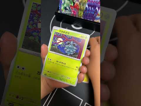 【バイオレットex】1パック開封【ポケモンカード】230406 #ポケモンカードゲーム