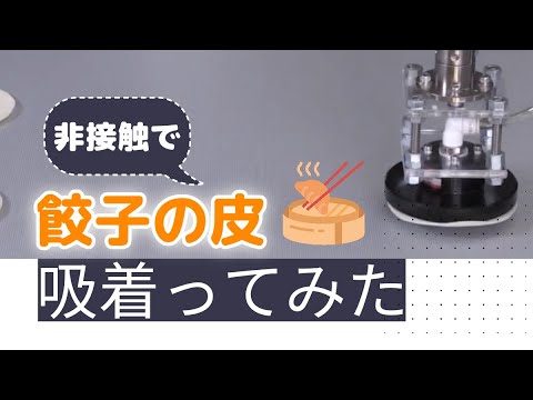 【吸着ってみた】餃子の皮【コンバム】