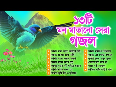 মন মাতানো সকলের পছন্দের ১৩টি বাছাই করা গজল | Mind Blowing Top 13 Islamic Gojol | Bangla Gojol