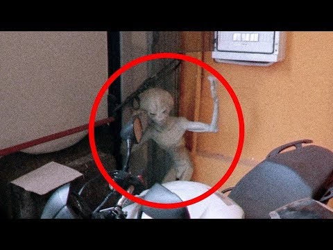 5 Extraterrestrials Caught on Tape - Best Alien Videos