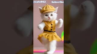 Cute cat dancing // cute kitten 🐱 #cutekitty #cat #catdance #fashion #shortcatsvideos #shorts