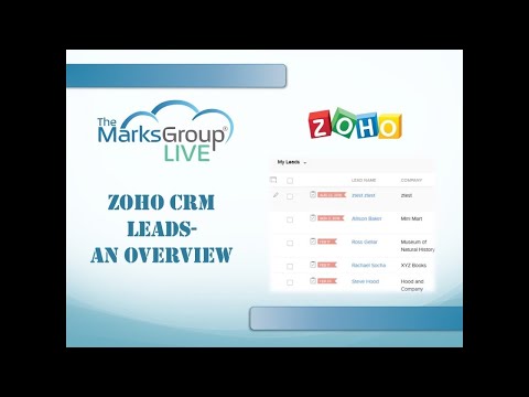 Zoho CRM Leads: An Overview