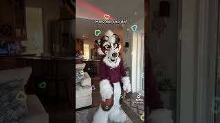 Fursuit dance #furry #fursona #fursuit #fursuiter #furryfandom #furrytiktok