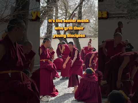 Debating monks of Tibet