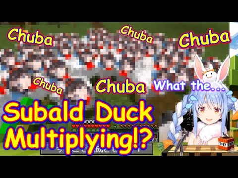 Subald Duck Multiplies. As a result Pekora starts Suba-gyaku. [Hololive/EN Sub][#ひとくちぺこら][Minecraft]