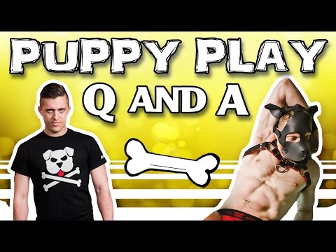 PUPPY PLAY Q AND A!