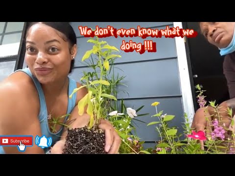 We're starting a Garden| Bootleg Garden