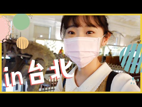 ❙紀錄生活❙ 去歷史博物館看恐龍・國際玩具展・新北耶誕城！台北vlog