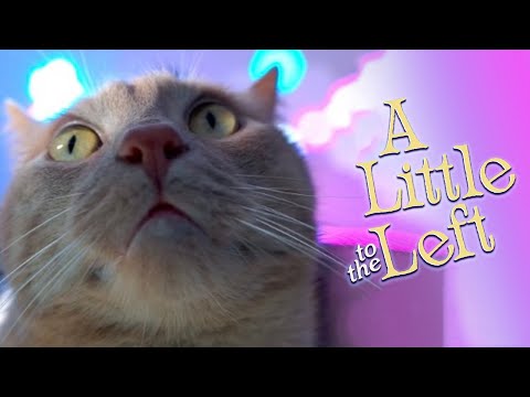 My cat being a jerk in A Little to the Left | Level 32 Food solution