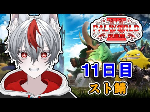 [パルワールド]全面戦争勃発！？　赤陣営　VS　レイド戦　スト鯖　Part 11　#新人vtuber 【 灰屋鯖 Palworld season2 】