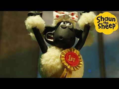 First Prize🐑 Shaun the Sheep - Cartoons for Kids 🐑 Full Episodes Compilation [1 hour]