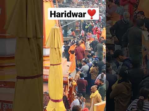 हरिद्वार की गंगा आरती❣️ #हरिद्वार #haridwar