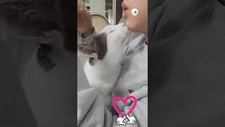 好きしかない🐱🫶👦🏻｜PECO #猫 #愛猫家 #猫動画 #猫のいる暮らし #cat #catlover #catvideos #catlife