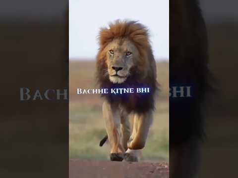 Bachhe Kitne Bhi Badhe Hoo baap|Shayari status Attitude shayari #youtubeshorts#viral#shayari#shorts