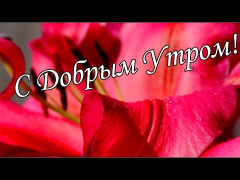 С ДОБРЫМ УТРОМ !🌼Желаю Самого Доброго Солнечного Утра!🌼  Шикарная Музыкальная открытка 🌼