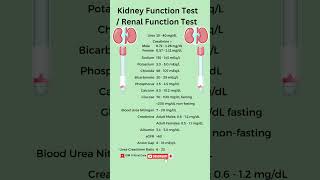 Kidney Function Test | RFT | KFT | kidney test / gfr #kidney #kft #rft #gfr