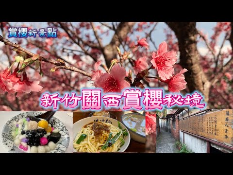 🌸新竹關西賞櫻秘境｜關西坪林國小｜尢咕麵｜仙草芋圓｜文人巷