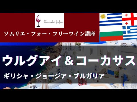 ウルグアイ・コーカサス編 【2023年 Sommelier for free ワイン講座】