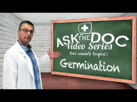 How to Germinate Seeds: Ask The Doc - What is the best way - What is the easiest way to germinate