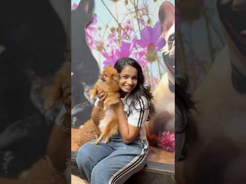 India’s first pet cafe in Mumbai / pets dog lovers #doglover #dogshorts #doglife #dogvideos #ytviral