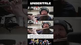 Fallen Down - Undertale // FLUTE COVER //