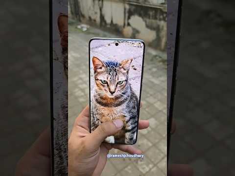 Vivo x200 Pro Camera Zoom Test #short #shortfeed #zoom #x200pro