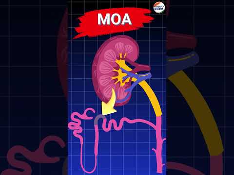 Furosemide Mode Of Action #animation #pharmacology #pharmacyindia