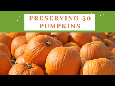 I tried to preserve 50 pumpkins 🤦‍♀️ and here's what happened