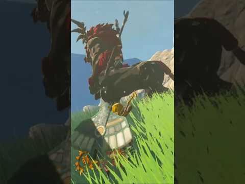 The Grumpiest Lynel #shorts #zelda #totk #tearsofthekingdom #gameplay #ティアキン  #zeldaedit #zeldatotk