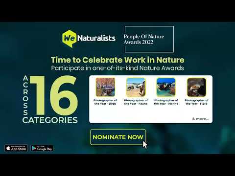 Celebrating those bringing nature closer through their lens | WeNaturalists People of Nature Awards