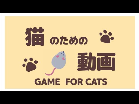 猫のための動画 20分ver.