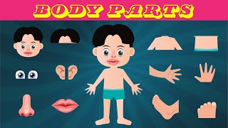 Parts of the Body for Kids | Let's learn basic body parts #partsofthebody