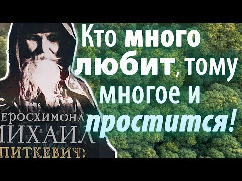 Скорби от бесов не избежишь! Кто много любит тому многое и простится! Михаил (Питкевич)