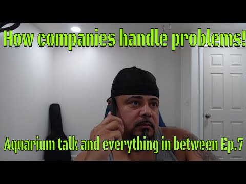 How companies handle problems!