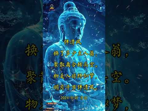 【禅意诗词】是非成败转头空 明月千古伴清风 #南无阿弥陀佛 #buddha #禅意  #南无本师释迦牟尼佛