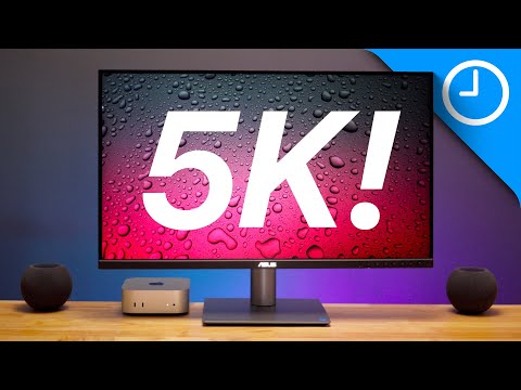 Asus ProArt Display 5K Review - the $799 Studio Display alternative!