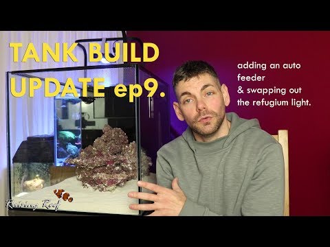 tank build update ep9