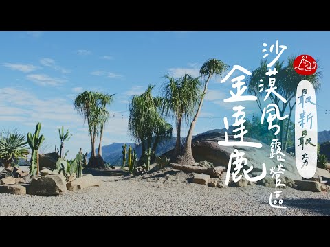 【 新網美景點】沙漠系的金達鹿露營區｜推薦新手露營裝備 桌邊收納、SOTO蜘蛛爐｜Solo Camping in desert  feat.@pickuppickup  #陸系酒豚