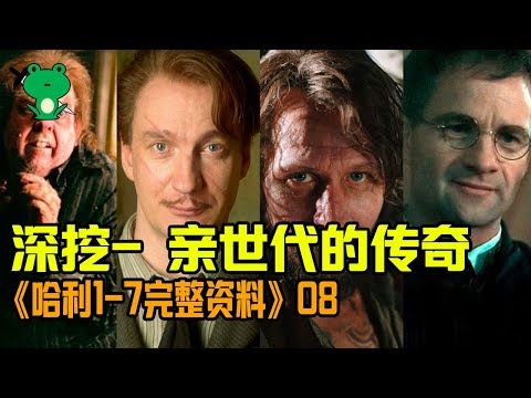 【細品哈利08】拓展還原：哈利父親一輩的童年故事