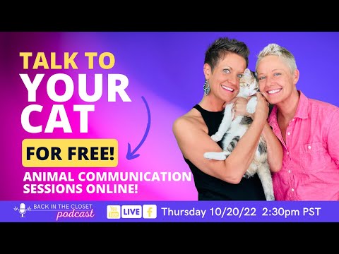 FREE Live Animal Communication Sessions! | Back In The Closet | Two Crazy Cat Ladies