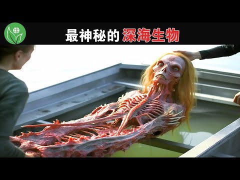 迄今為止發現的 15 種最神秘的未識別海洋生物！美人魚竟然真實存在，不過卻與想像中的不一樣。 #探索旅行號 #排名 #冷知識 #top15 #世界之最 #地球最TOP #深海 #海洋生物