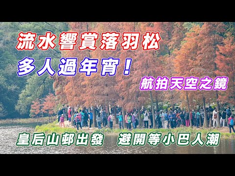 【流水響水塘賞落羽松】直擊年宵情況 | 皇后山邨出發路線分享 | 避開等小巴人潮 | Mini 3 Pro 航拍天空之鏡 | Nikon Zfc